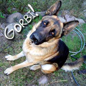 20071001174608-gorbi.jpg